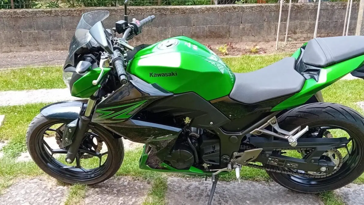 Kawasaki Z 300 ABS (2015 - 16) 