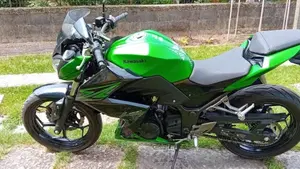 Kawasaki Z 300 ABS (2015 - 16) 