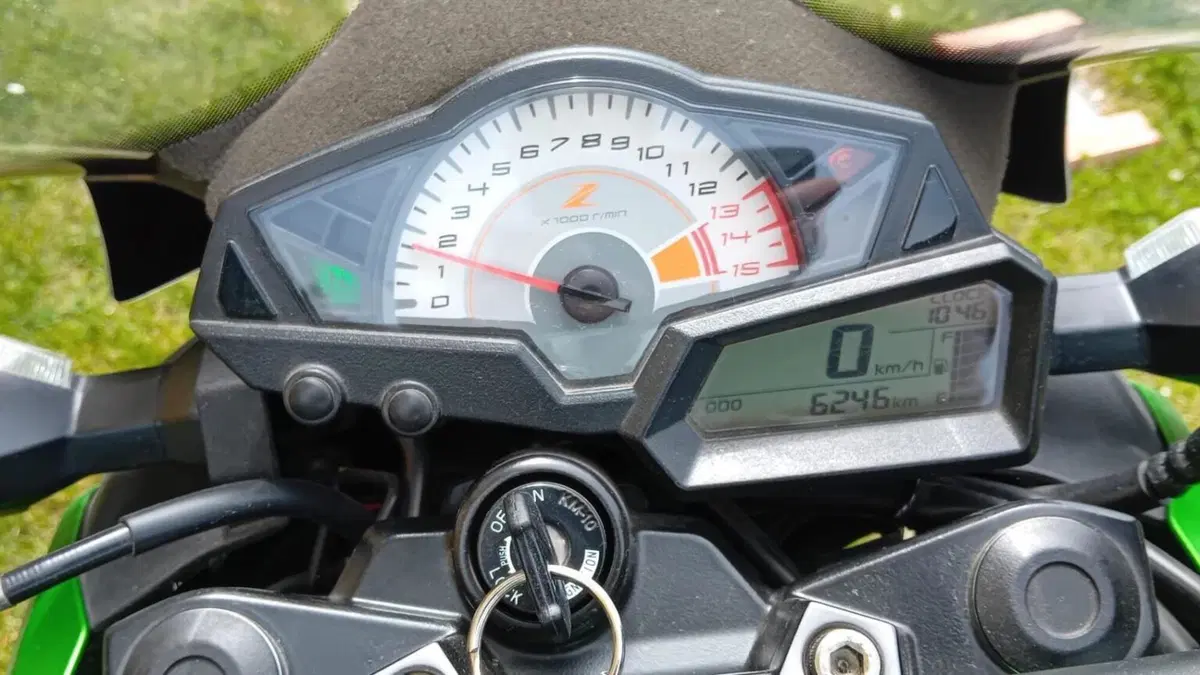 Kawasaki Z 300 ABS (2015 - 16)  (2)