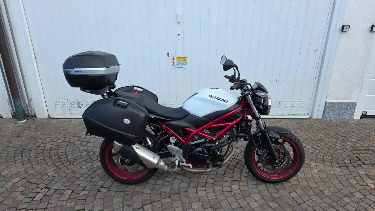 Suzuki SV650 (2021 - 24) 