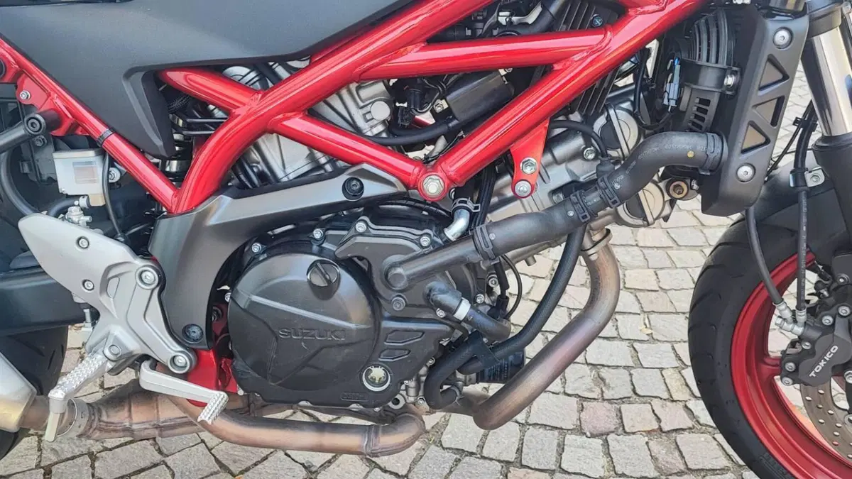 Suzuki SV650 (2021 - 24)  (3)