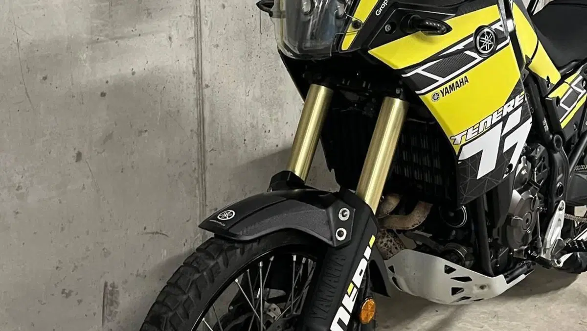 Yamaha Ténéré 700 (2021)  (4)