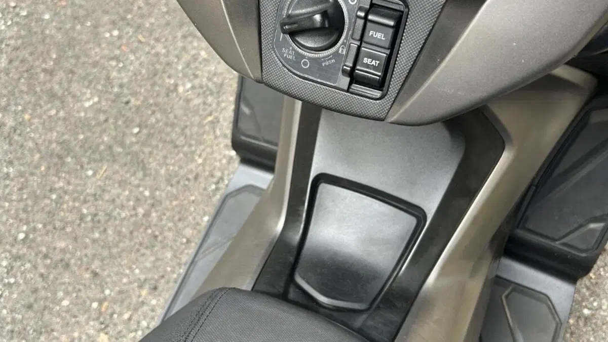 Honda Forza 350 (2022 - 24)  (6)