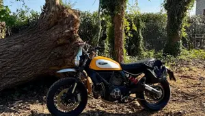 Ducati Scrambler 800 Classic (2015 - 16)  (2)