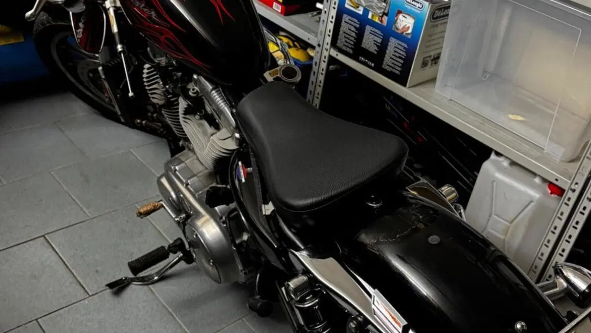 Harley-Davidson   (5)