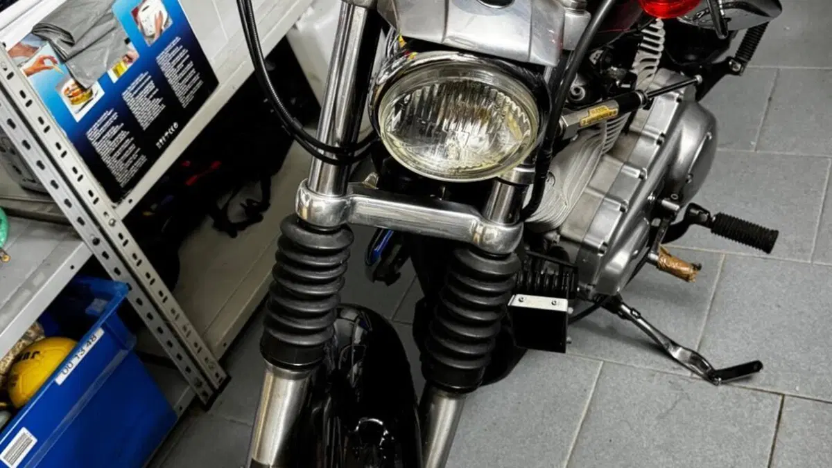 Harley-Davidson   (9)