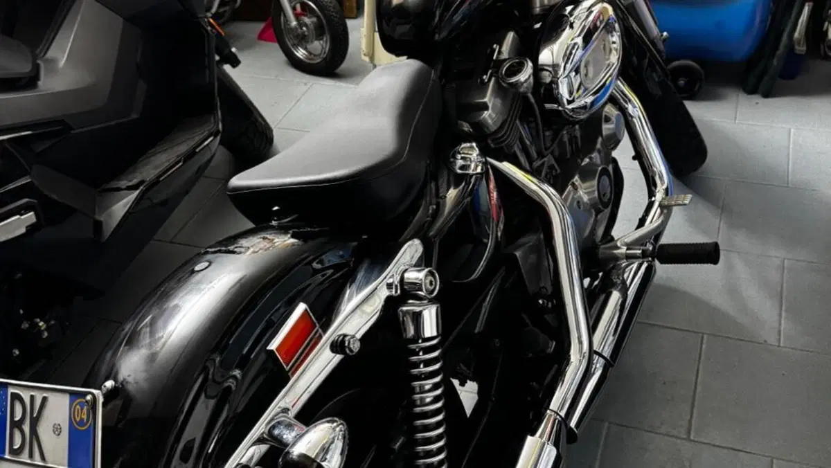Harley-Davidson   (6)