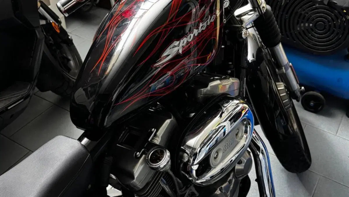 Harley-Davidson   (10)
