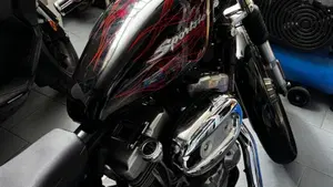 Harley-Davidson   (10)