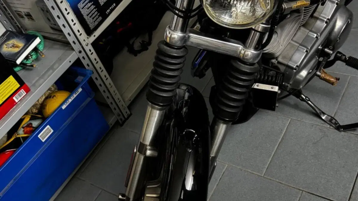Harley-Davidson   (11)