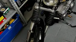 Harley-Davidson   (11)