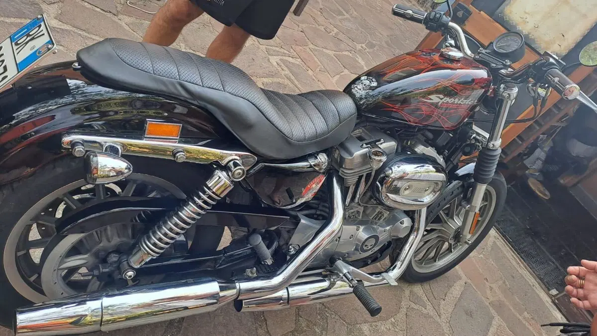 Harley-Davidson   (12)