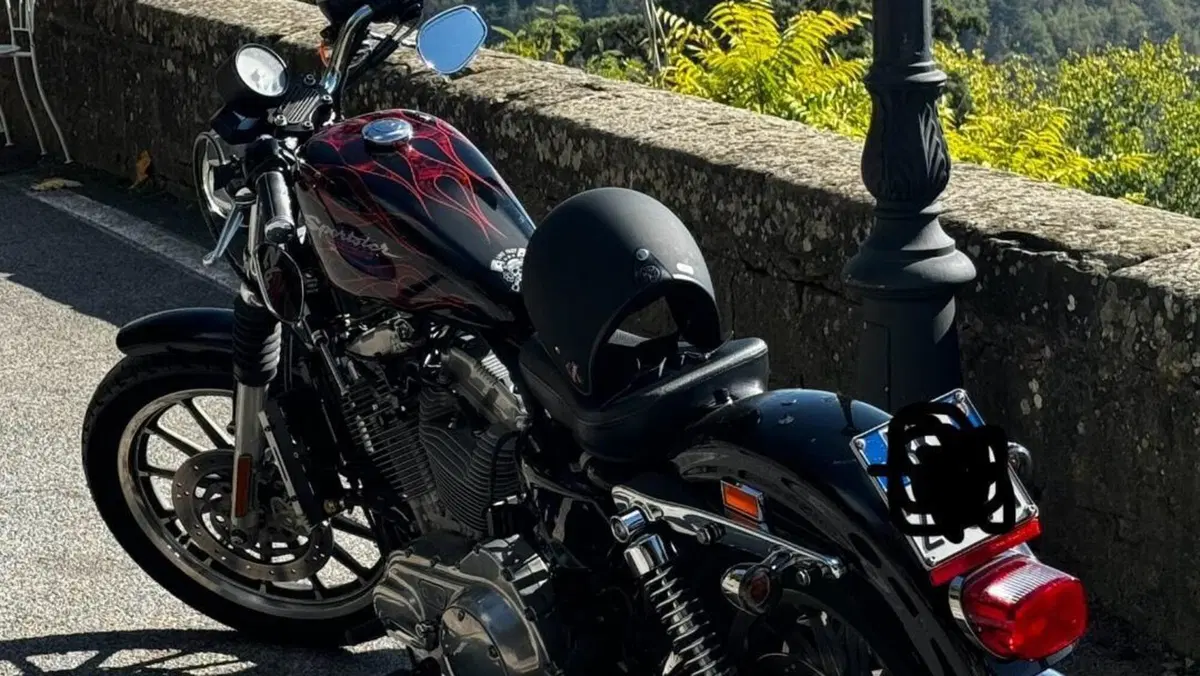 Harley-Davidson   (2)