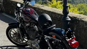 Harley-Davidson   (2)