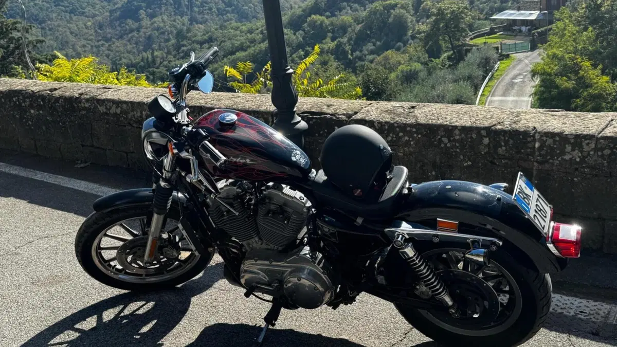 Harley-Davidson  