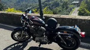 Harley-Davidson  