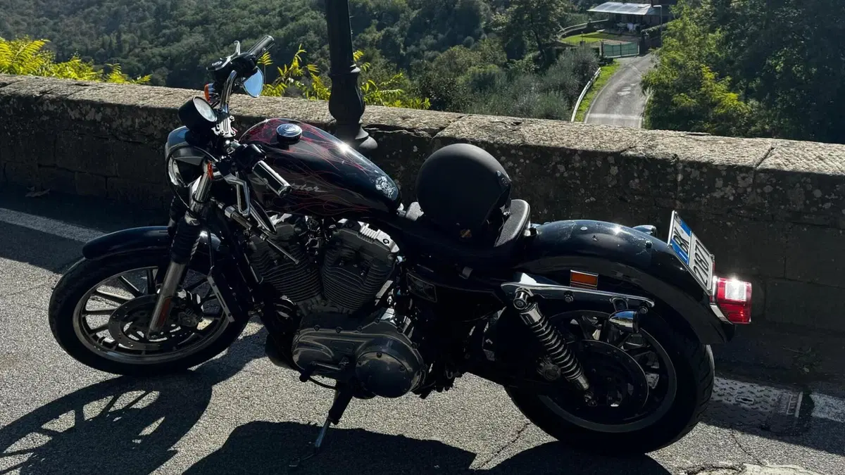 Harley-Davidson   (3)