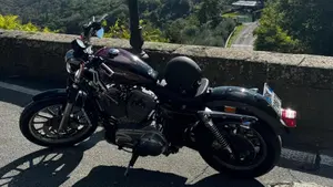 Harley-Davidson   (3)