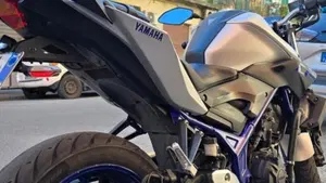 Yamaha MT-03 (2016 - 17)  (4)