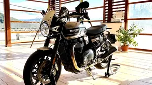 Triumph Speed Twin 1200 (2019 - 20)  (7)