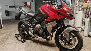 Triumph Tiger Sport 660 (2022 - 24) 