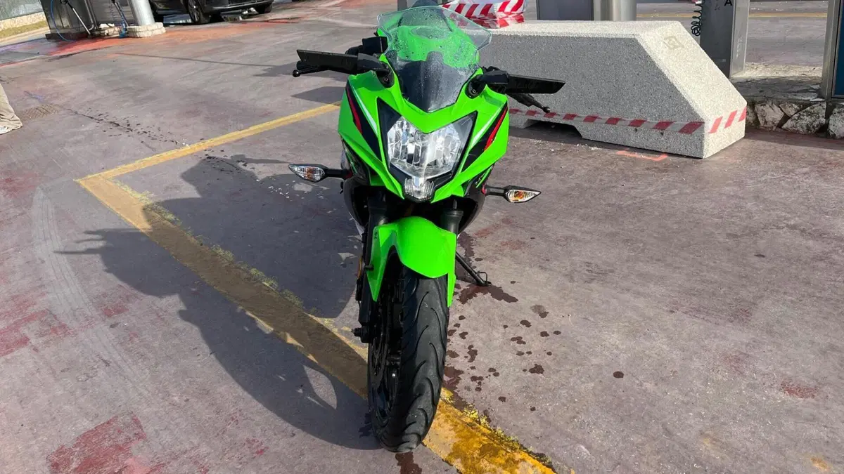 Kawasaki Ninja 125 Performance (2021 - 24)  (2)
