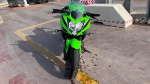 Kawasaki Ninja 125 Performance (2021 - 24)  (2)