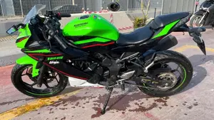 Kawasaki Ninja 125 Performance (2021 - 24)  (3)