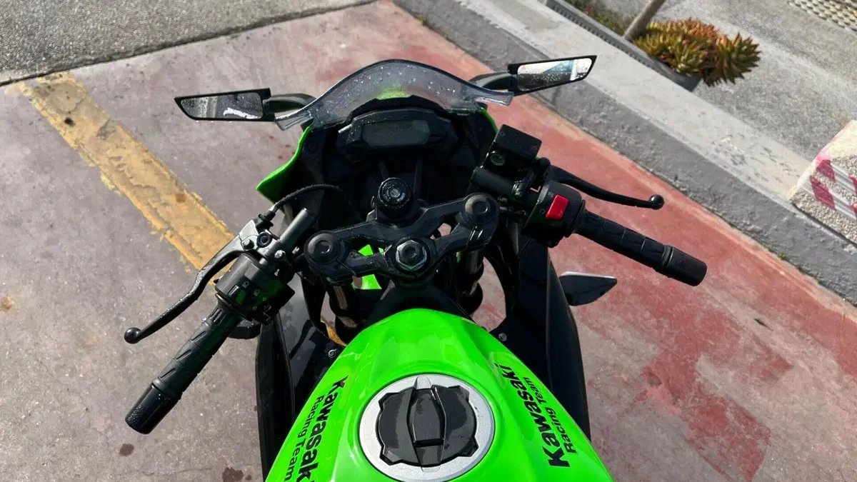Kawasaki Ninja 125 Performance (2021 - 24)  (4)