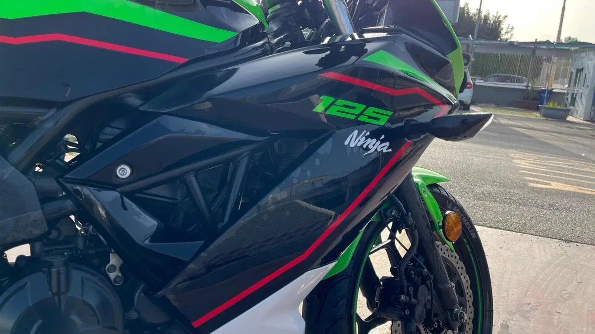 Kawasaki Ninja 125 Performance (2021 - 24)  (5)