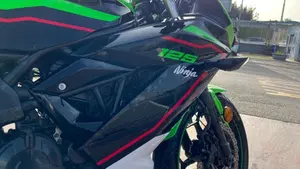Kawasaki Ninja 125 Performance (2021 - 24)  (5)