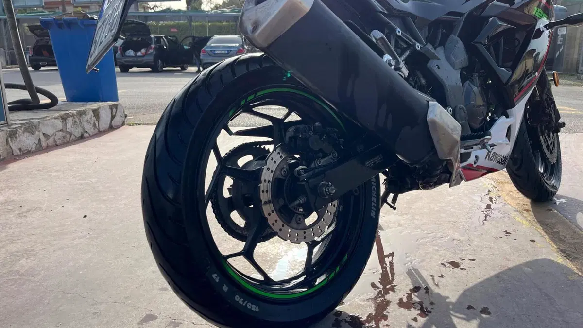 Kawasaki Ninja 125 Performance (2021 - 24)  (7)