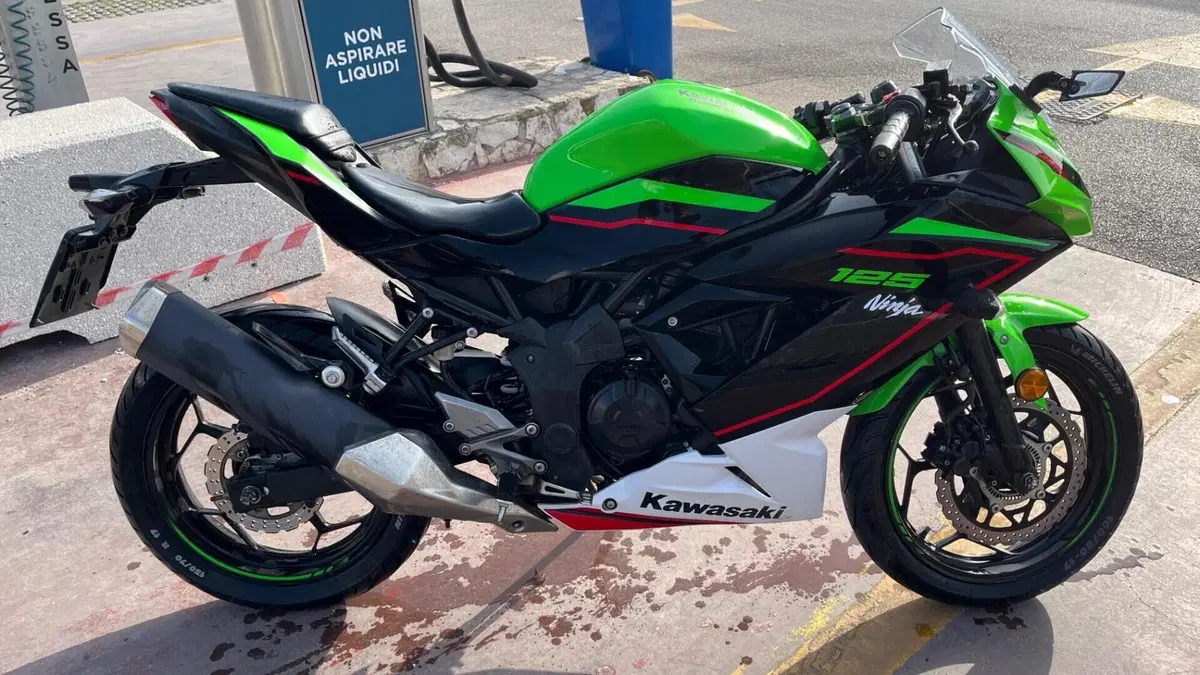 Kawasaki Ninja 125 Performance (2021 - 24)  (8)