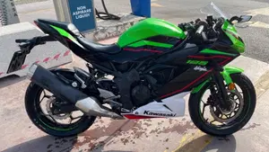 Kawasaki Ninja 125 Performance (2021 - 24)  (8)