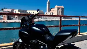 Ducati Diavel 1200 (2014 - 16)  (7)
