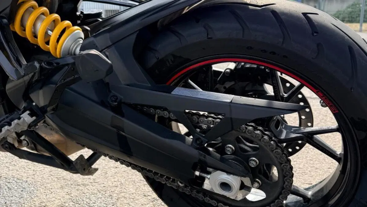 Ducati Multistrada 950 S (2019 - 20)  (6)