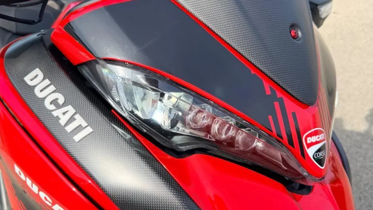 Ducati Multistrada 950 S (2019 - 20)  (11)