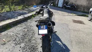 Honda FMX 650  (5)