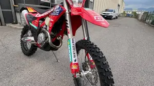 GASGAS EC 350 F (2025)  (3)