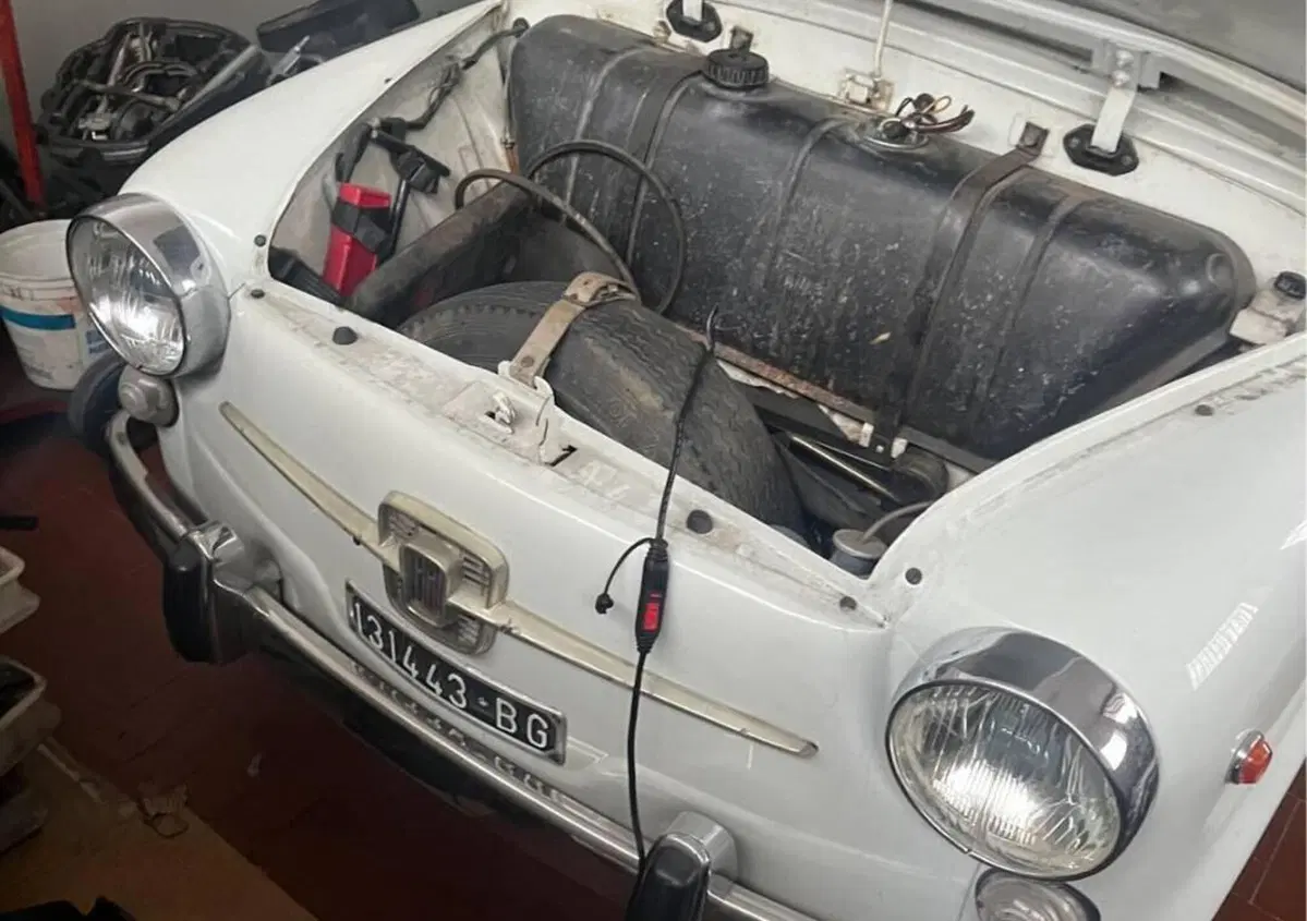 Fiat 600  (3)