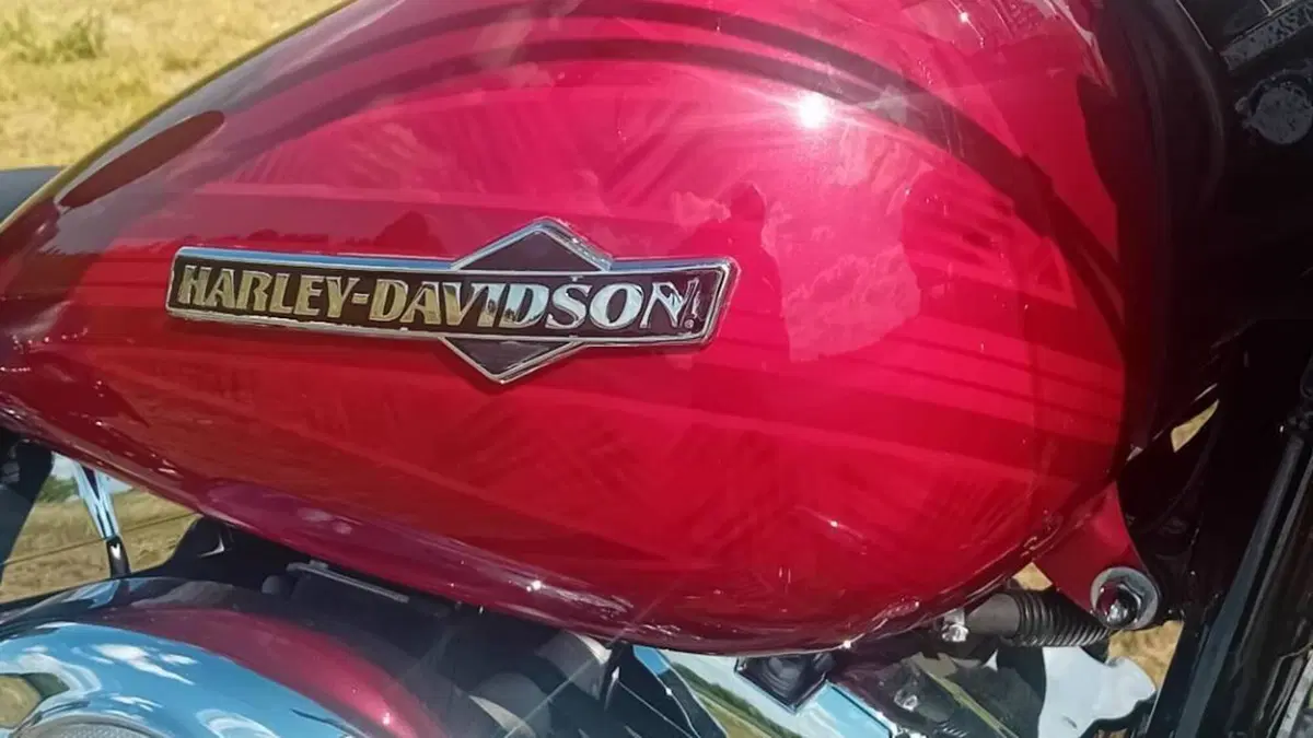 Harley-Davidson 1584 Heritage Classic (2008 - 10) - FLSTC  (3)