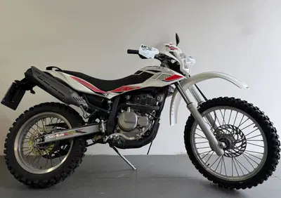 Betamotor Alp 4.0 (2008 - 17) - Annuncio 10015724