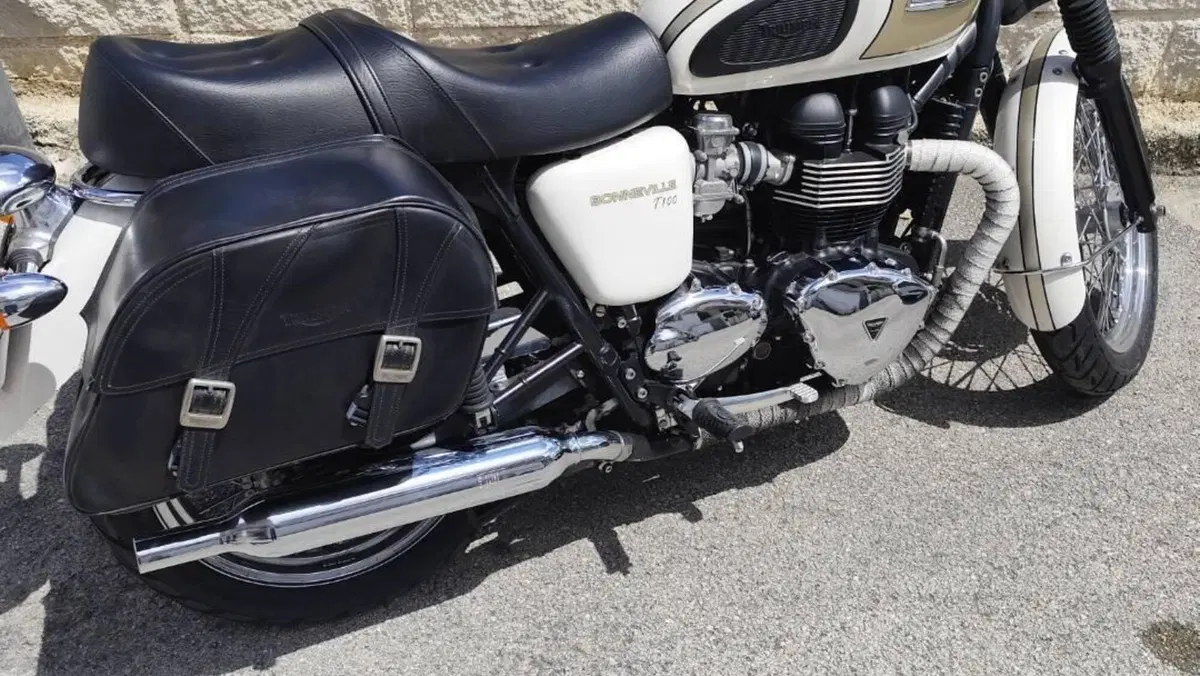 Triumph Bonneville T100 (2008 - 16)  (2)