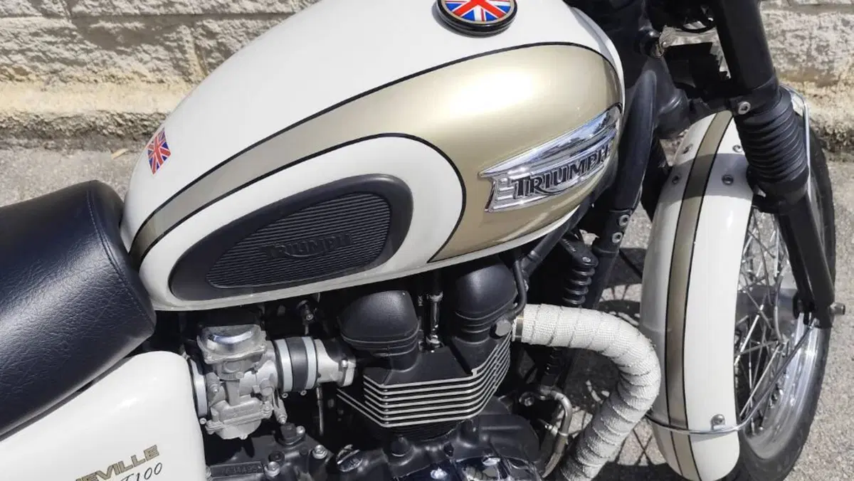 Triumph Bonneville T100 (2008 - 16)  (3)