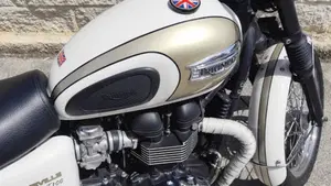 Triumph Bonneville T100 (2008 - 16)  (3)