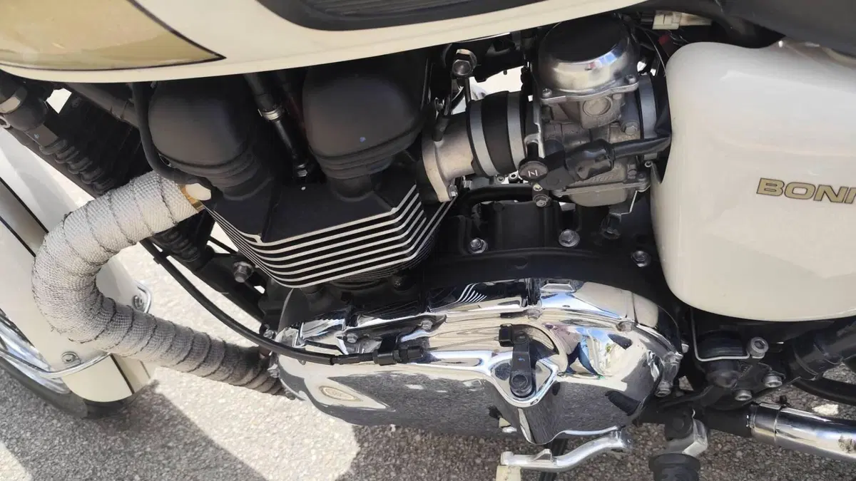 Triumph Bonneville T100 (2008 - 16)  (8)