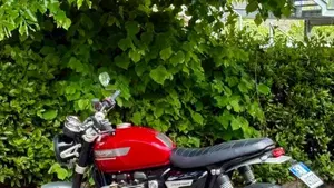 Triumph Speed Twin 1200 (2021 - 24)  (5)