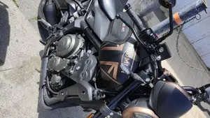 Triumph Trident 660 (2021 - 24)  (3)