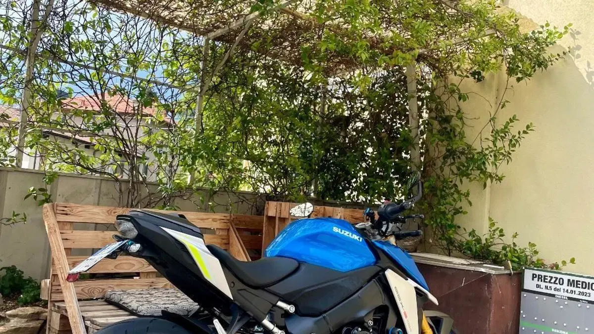 Suzuki GSX-S1000 (2021 - 25)  (6)