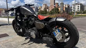 Harley-Davidson 1200 Forty-Eight (2010 - 15)  (3)